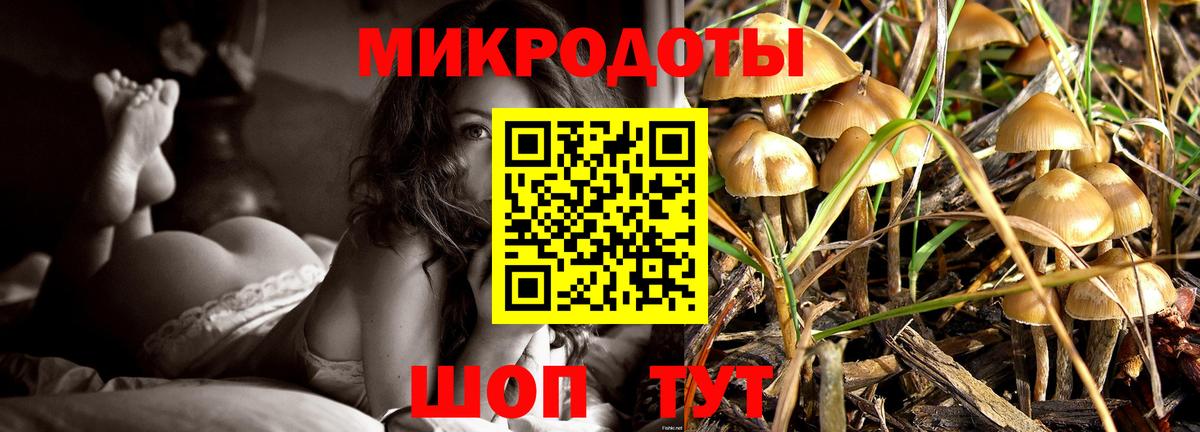 Псилоцибиновые грибы GOLDEN TEACHER  Вход с VPN  Галлюциногенные грибы Psilocybe  Лыткарино 
